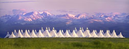 Denver International Airport
