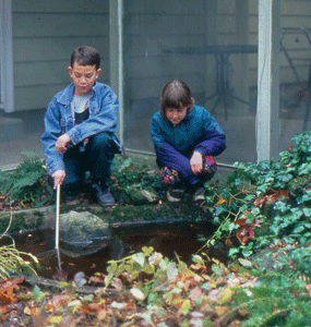 Childhood-Experience-of-Place.gif