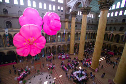 National Cherry Blossom Festival