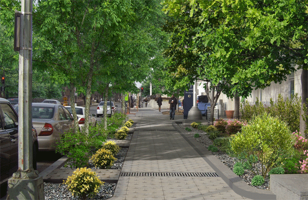 planning-for-trees-cropped.gif