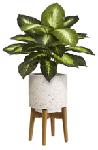 Click here for more information about Terrazza Planter - Large